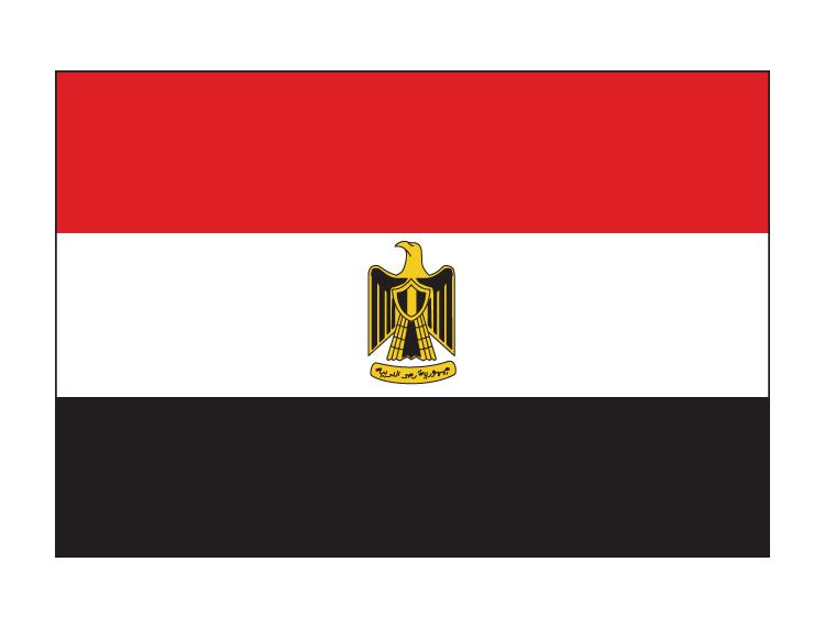 埃及商標(biāo)注冊