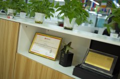 巴西注冊(cè)公司哪種公司類(lèi)型適合外資企業(yè)