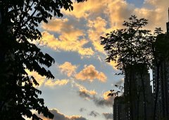 開曼公司暫無實(shí)際經(jīng)營(yíng)能否不做年審