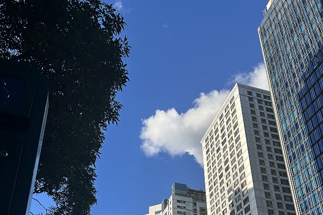 哈薩克斯坦公司注冊(cè):委托代理機(jī)構(gòu)辦理的可行性說明